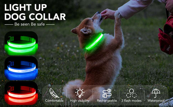 Flashing LED Pet Collars